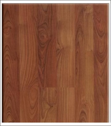 Sàn gỗ ROBINA C25-L