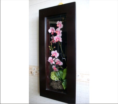 Hoa đất lan hồ điệp trắng