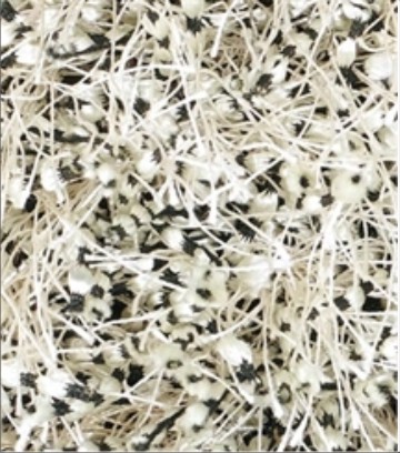Thảm trải sàn Mỹ Thuật BEAUTIFUL BEADS SERIES